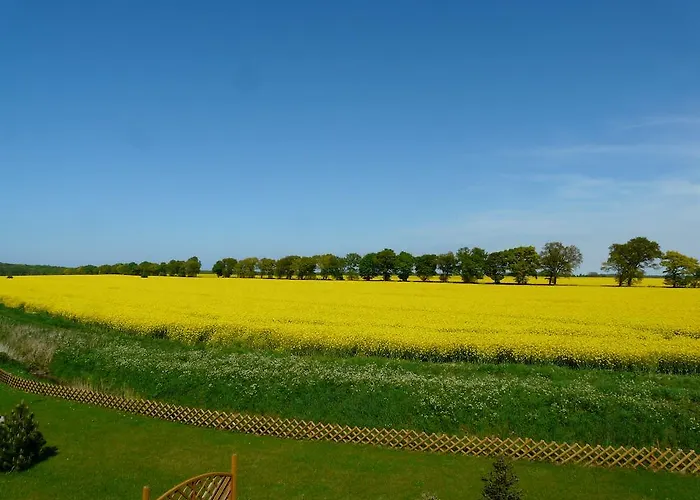 Juvenka * Dziwnówek