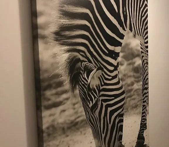 Pensión Juvenka Dziwnówek